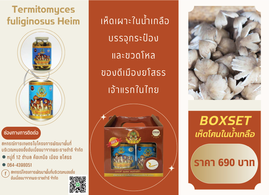 Artboard 2 Copy 11